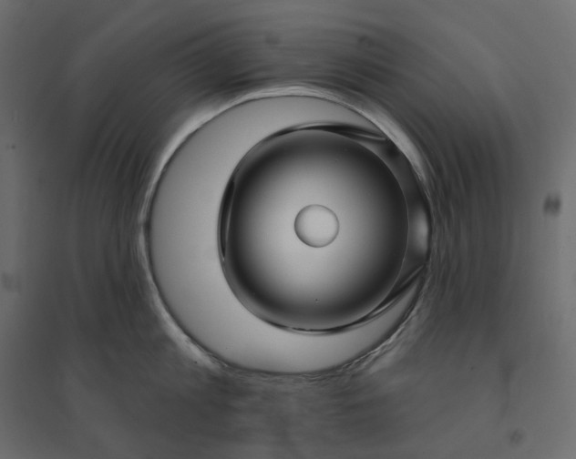 X0000094420813200711211409