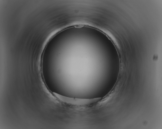 X0000094420815200711211409