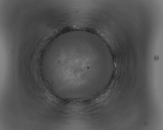 X0000094420817200711211408