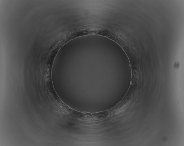 X0000094420818200711211408
