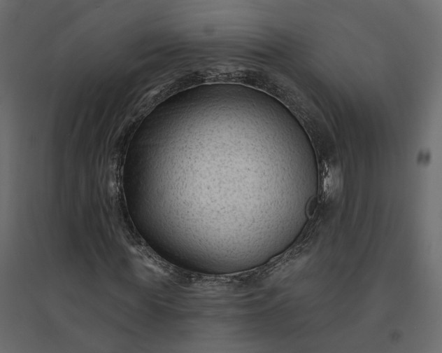 X0000094420819200711211408