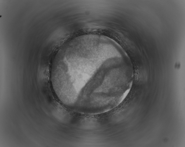 X0000094420820200711211408