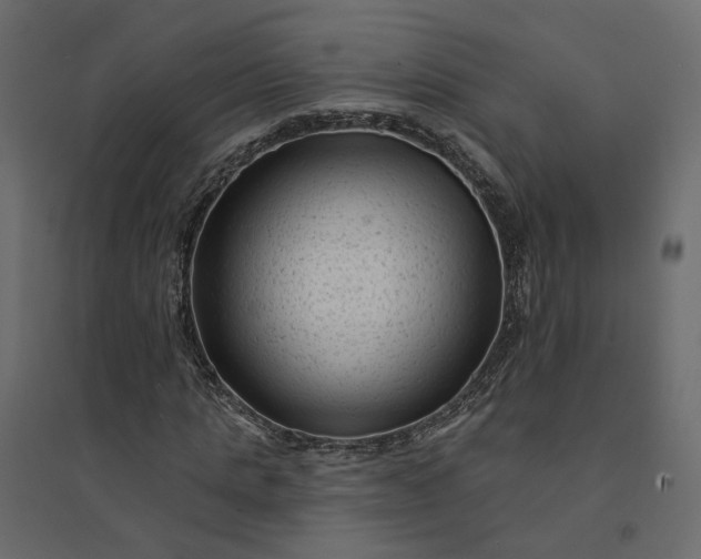 X0000094420821200711211408