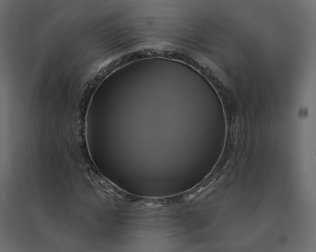 X0000094420822200711211408