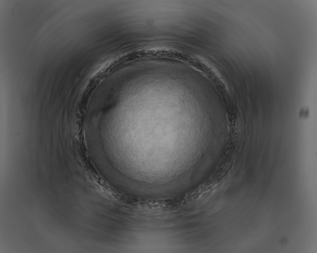X0000094420823200711211408