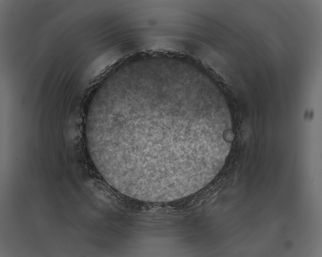 X0000094420824200711211408
