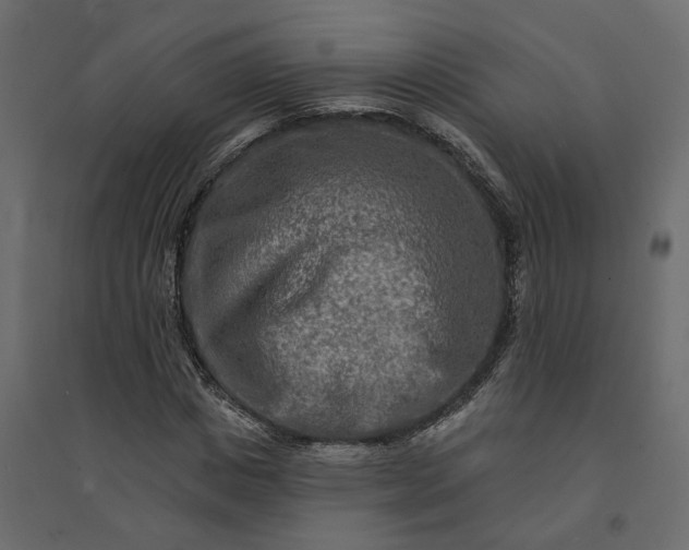 X0000094420825200711211408