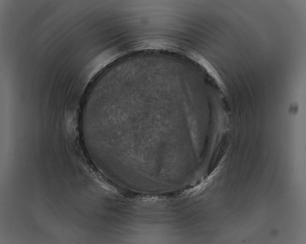 X0000094420826200711211408