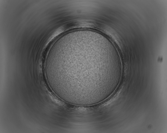 X0000094420827200711211408