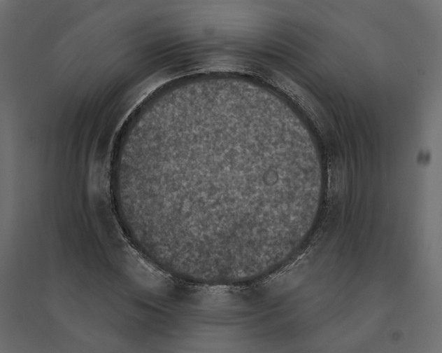 X0000094420828200711211408