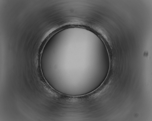 X0000094420829200711211408