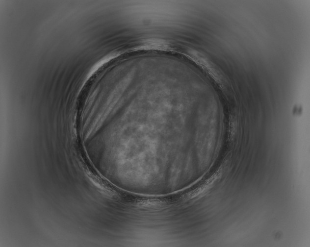 X0000094420830200711211408