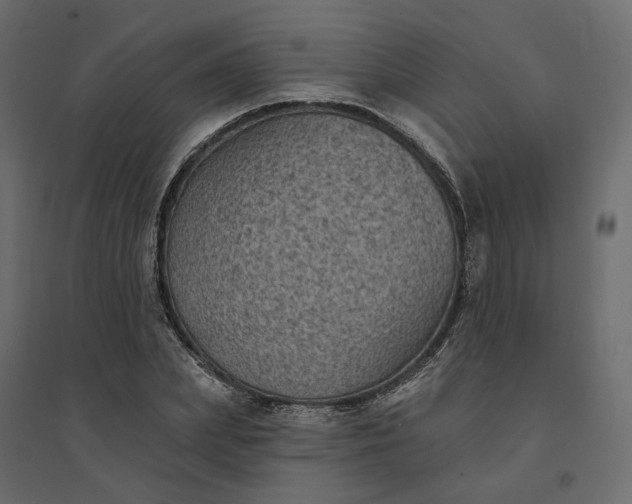 X0000094420831200711211408