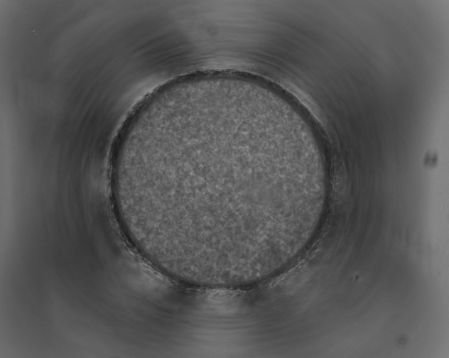 X0000094420832200711211408