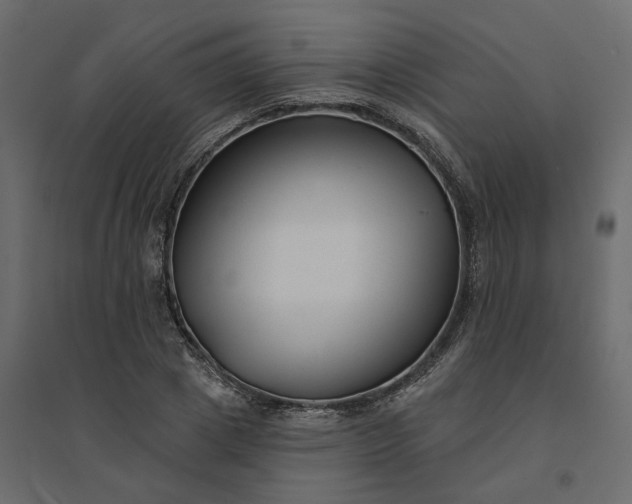 X0000094420833200711211408