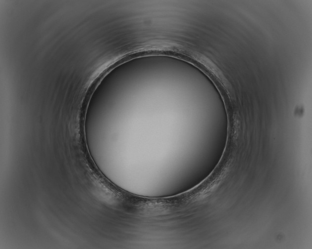 X0000094420834200711211408