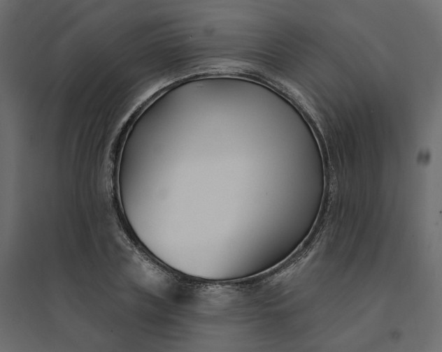 X0000094420835200711211408