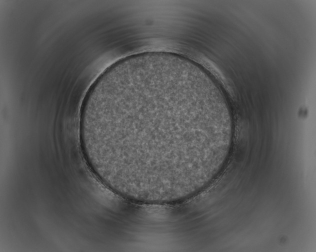 X0000094420836200711211408