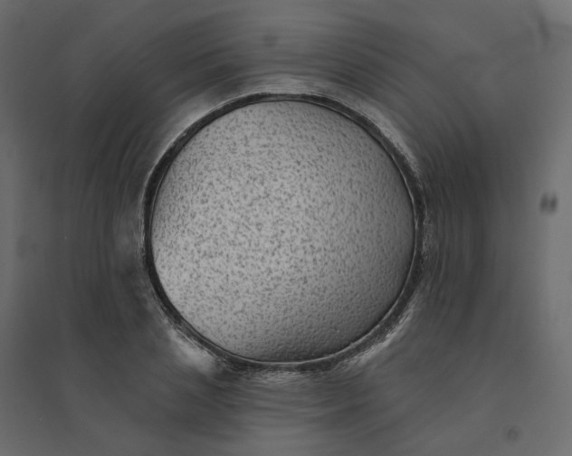 X0000094420837200711211408