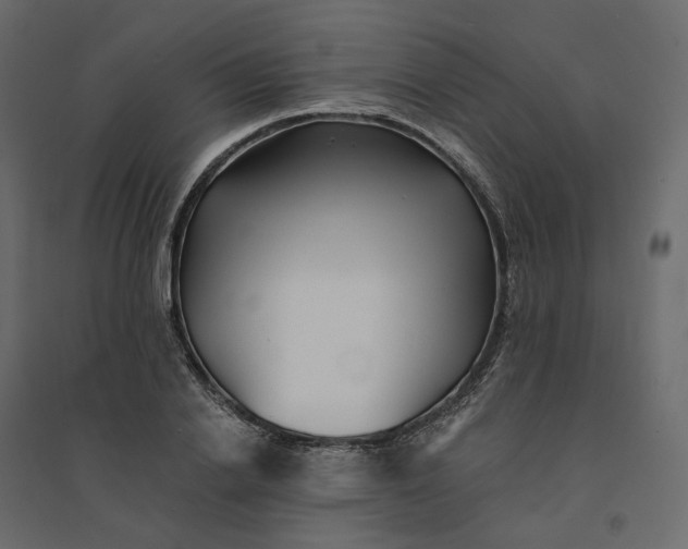 X0000094420838200711211408
