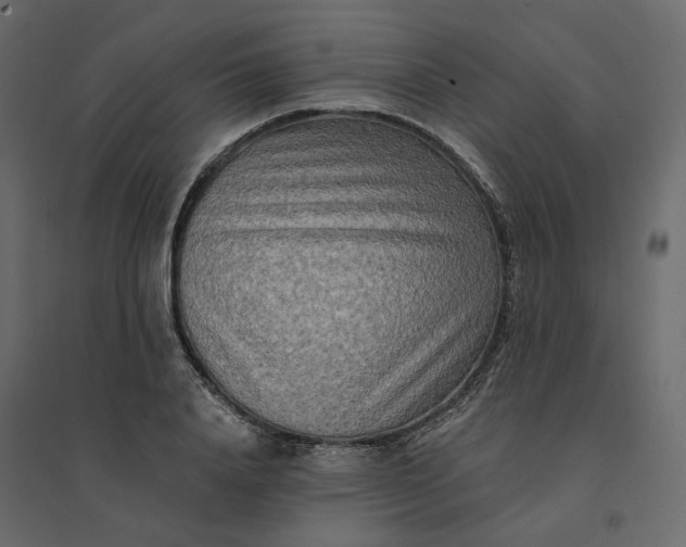X0000094420840200711211408