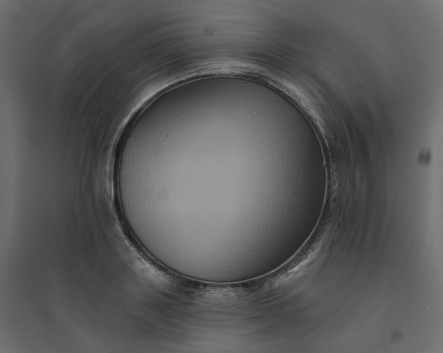 X0000094420843200711211408