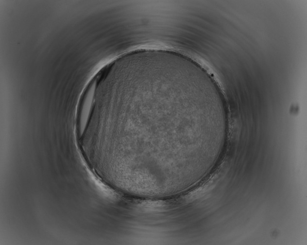 X0000094420845200711211408