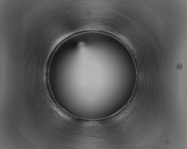 X0000094420846200711211408