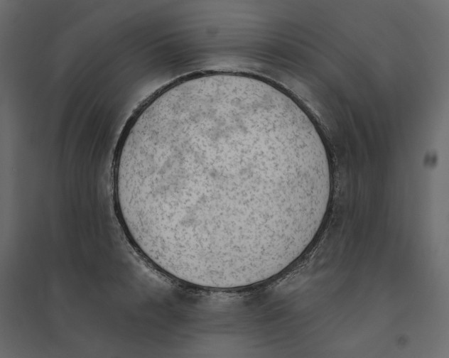 X0000094420848200711211409