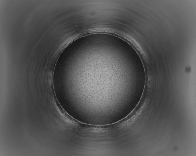 X0000094420849200711211409