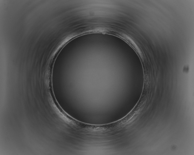 X0000094420851200711211409