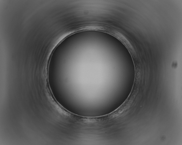 X0000094420852200711211409