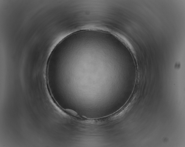 X0000094420855200711211409