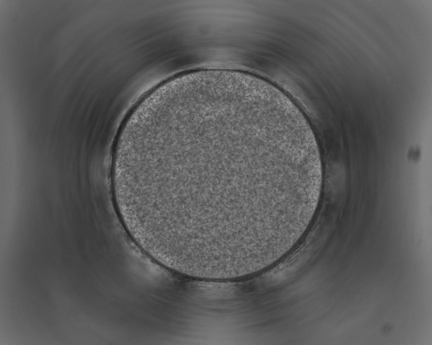 X0000094420856200711211409