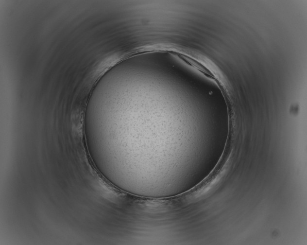 X0000094420857200711211409