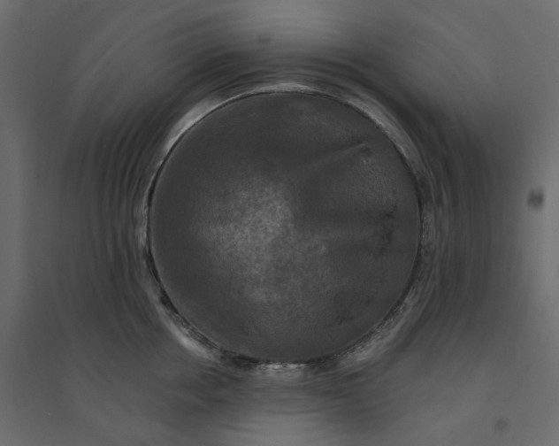 X0000094420858200711211409
