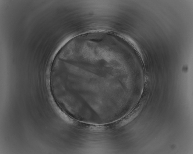 X0000094420859200711211409