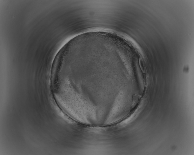 X0000094420860200711211409