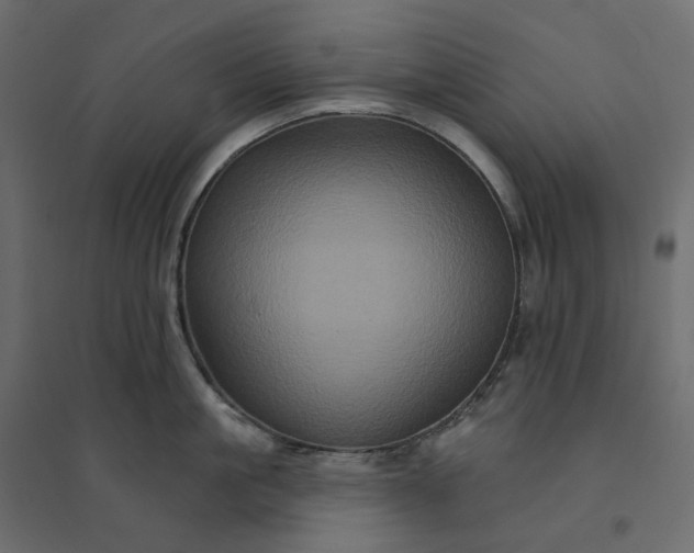 X0000094420861200711211409