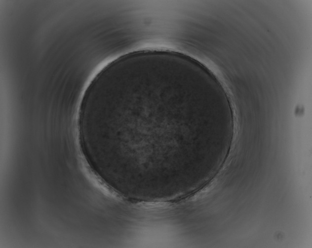 X0000094420864200711211409