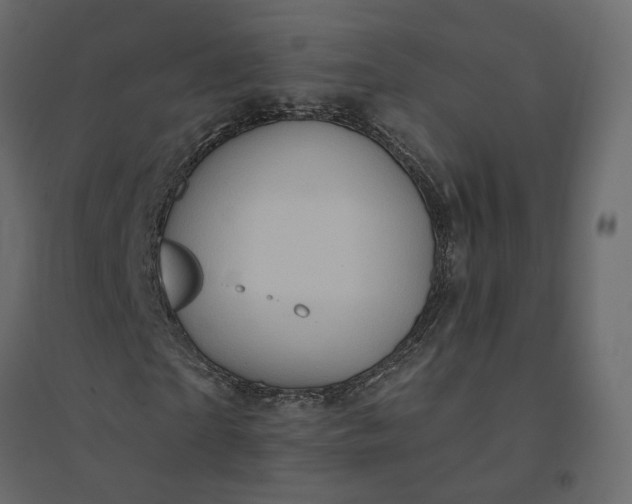 X0000094420865200711211408