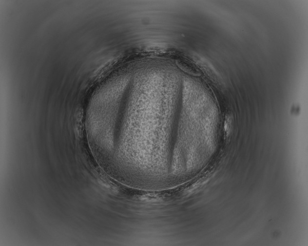 X0000094420867200711211408