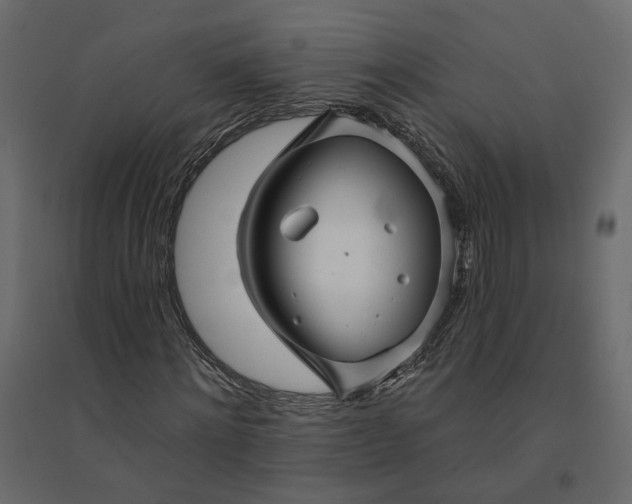 X0000094420868200711211408