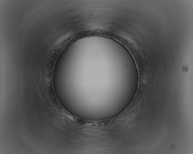 X0000094420869200711211408