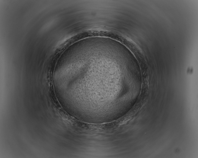 X0000094420870200711211408