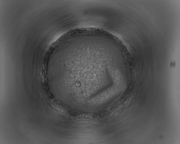 X0000094420871200711211408