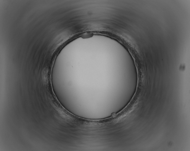 X0000094420873200711211408