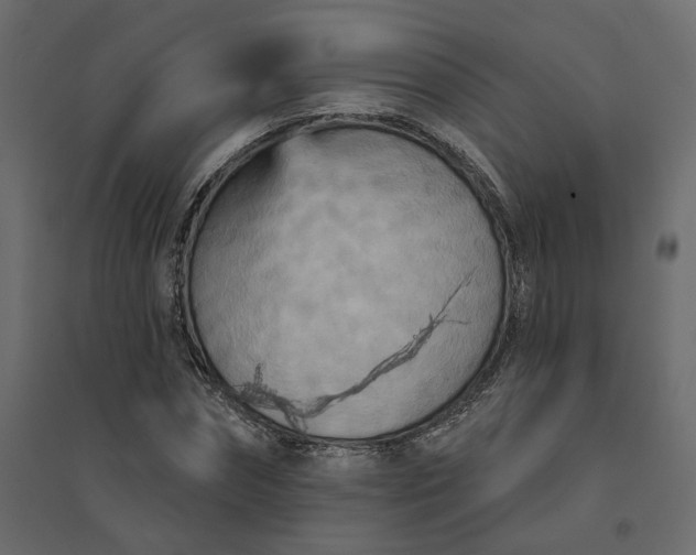 X0000094420874200711211408