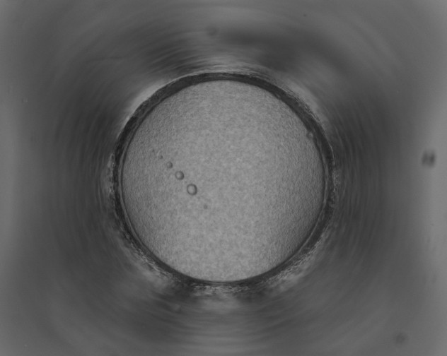 X0000094420875200711211408