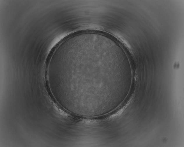 X0000094420877200711211408